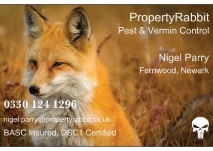 PropertyRabbit Pest & Vermin Control